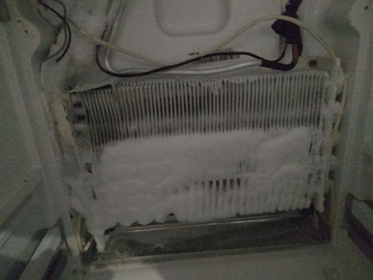 Indesit шумит, холодильная камера не холодит — вентилятор вмёрз в лёд — фото 1
